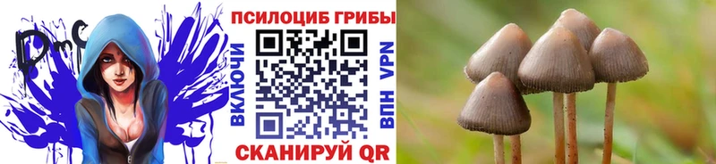 Галлюциногенные грибы мицелий  наркота  кракен ССЫЛКА  Саяногорск 