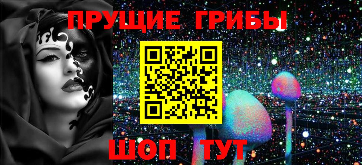 Саяногорск  Псилоцибиновые грибы мицелий  Вход с VPN  Псилоцибиновые грибы ЛСД 